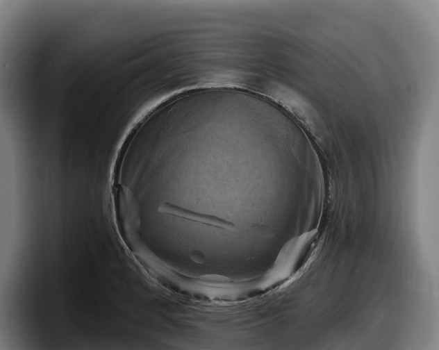 X0000097831184200803201452