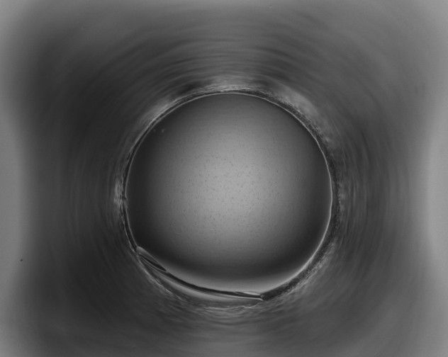 X0000097831185200803201452