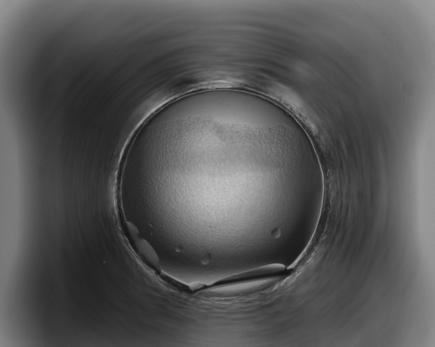 X0000097831186200803201452