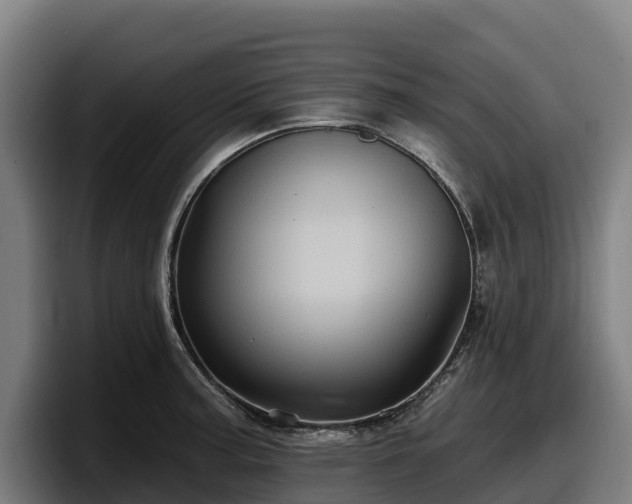 X0000097831187200803201452