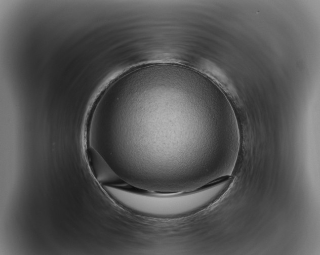 X0000097831188200803201452