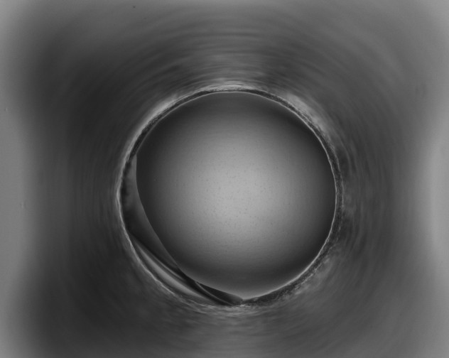 X0000097831189200803201452
