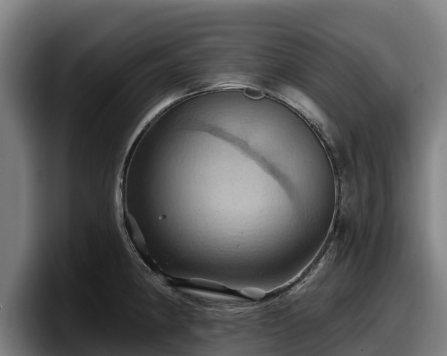 X0000097831190200803201452