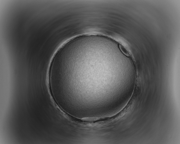 X0000097831191200803201452