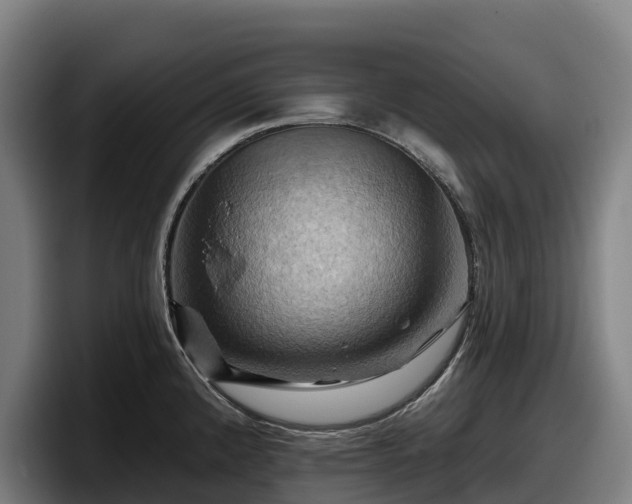 X0000097831192200803201452
