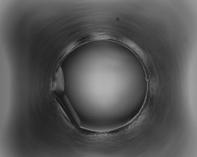 X0000097831193200803201452