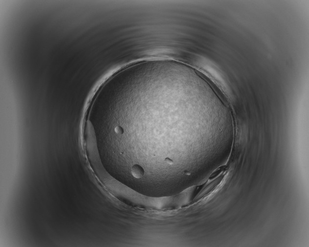 X0000097831196200803201451