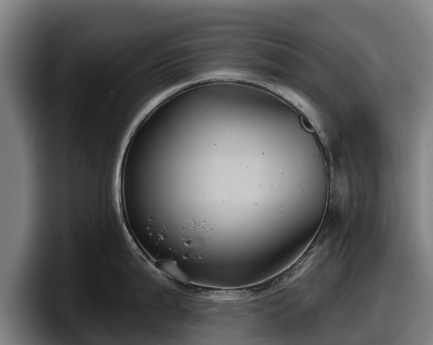 X0000097831199200803201451