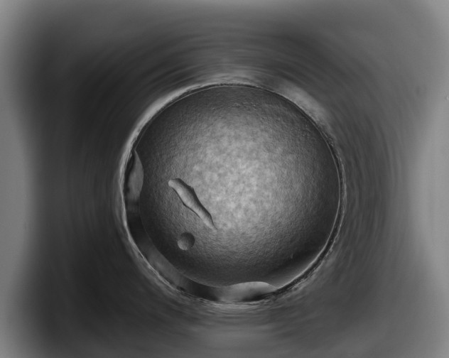 X0000097831200200803201451