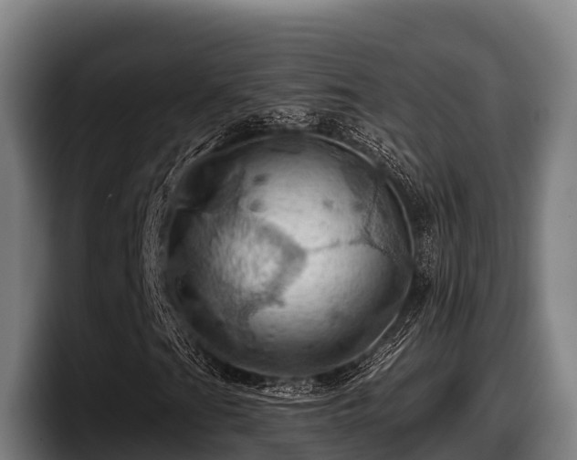 X0000097831201200803201451