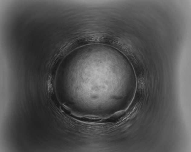 X0000097831202200803201451