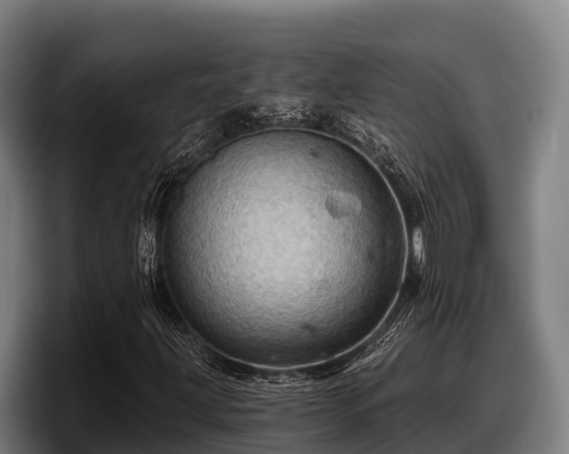 X0000097831203200803201451