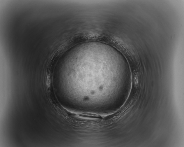 X0000097831204200803201451