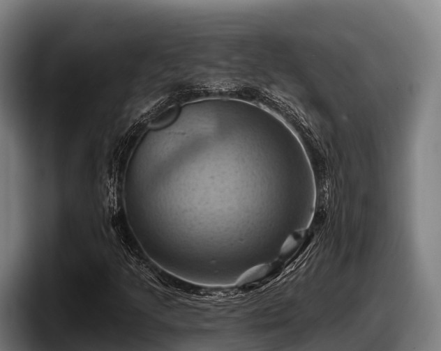 X0000097831205200803201451