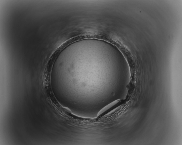 X0000097831208200803201451