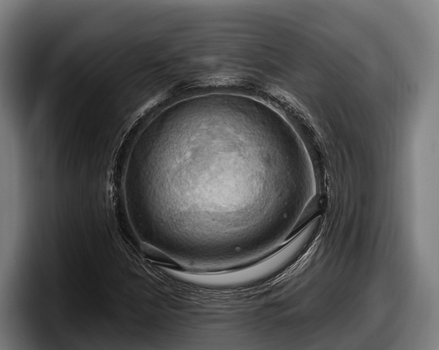 X0000097831210200803201451