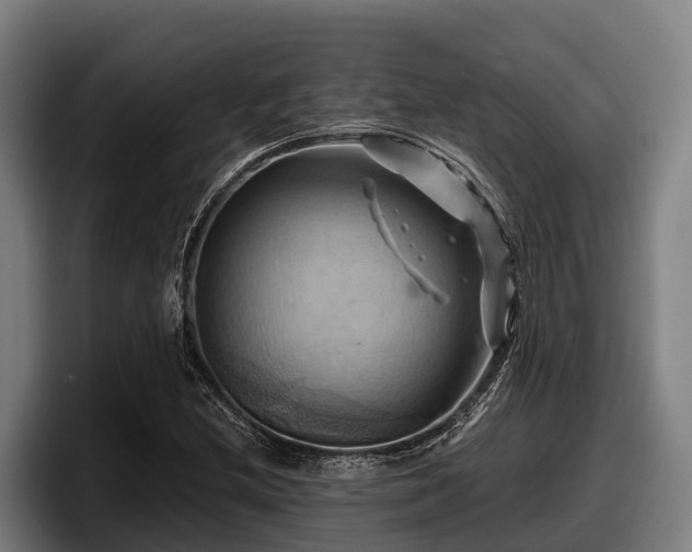 X0000097831212200803201451
