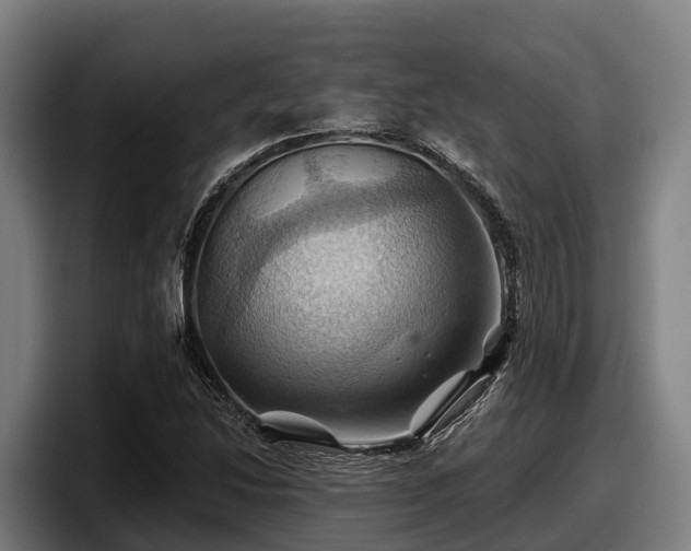 X0000097831214200803201451