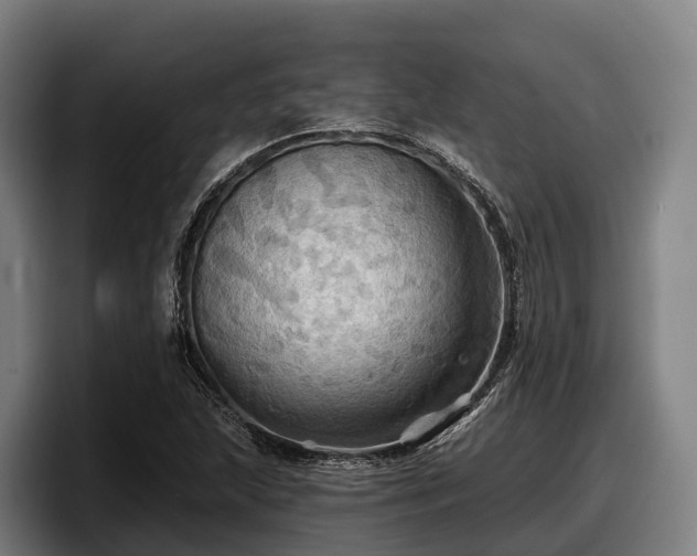 X0000097831215200803201451