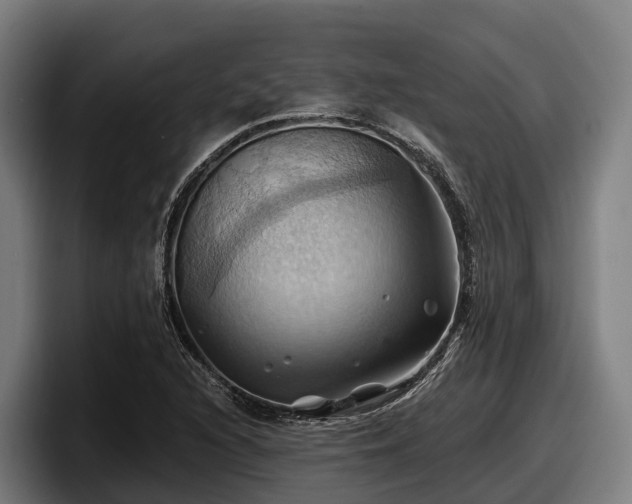 X0000097831216200803201451