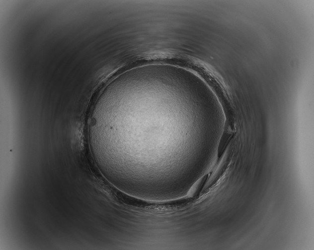 X0000097831217200803201451