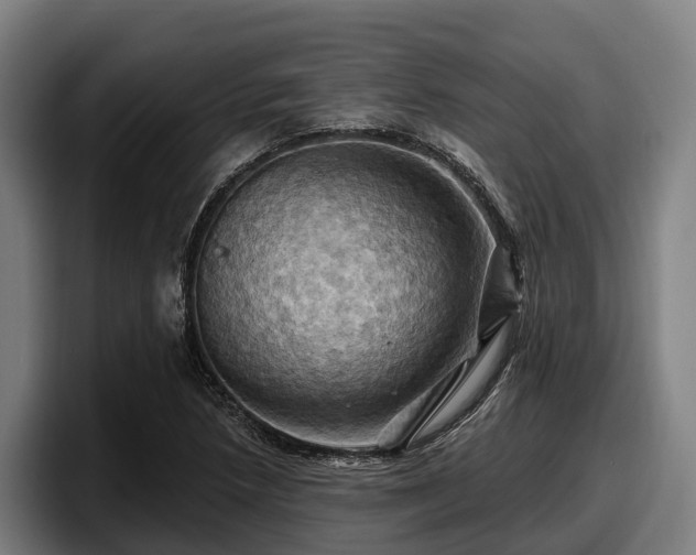 X0000097831218200803201451