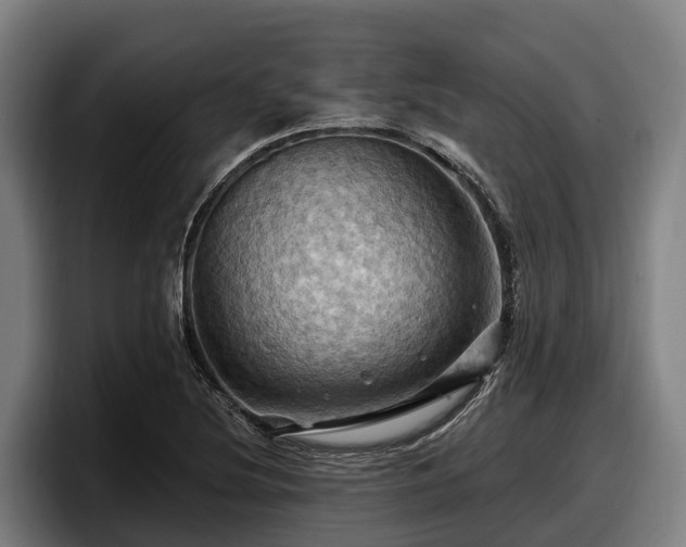 X0000097831220200803201451