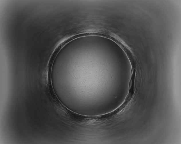 X0000097831222200803201451