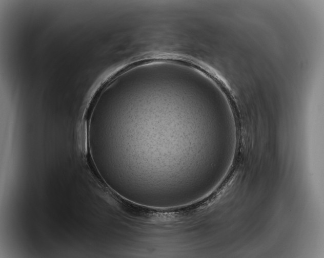 X0000097831223200803201451