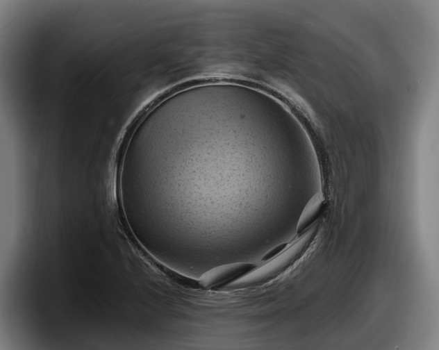 X0000097831224200803201451