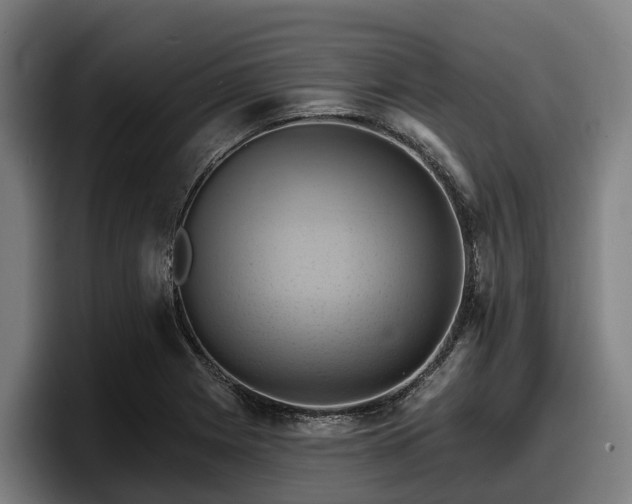 X0000097831225200803201451