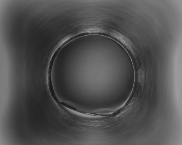X0000097831229200803201451