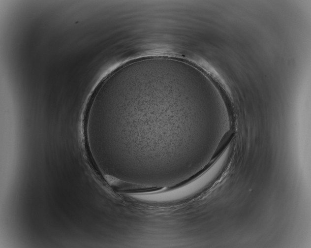 X0000097831230200803201451