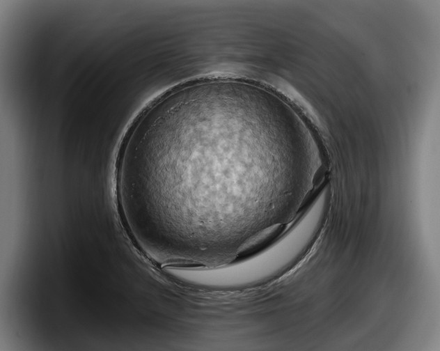X0000097831232200803201451