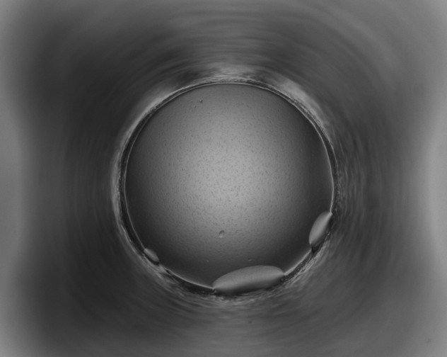 X0000097831235200803201451