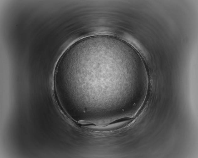 X0000097831236200803201451