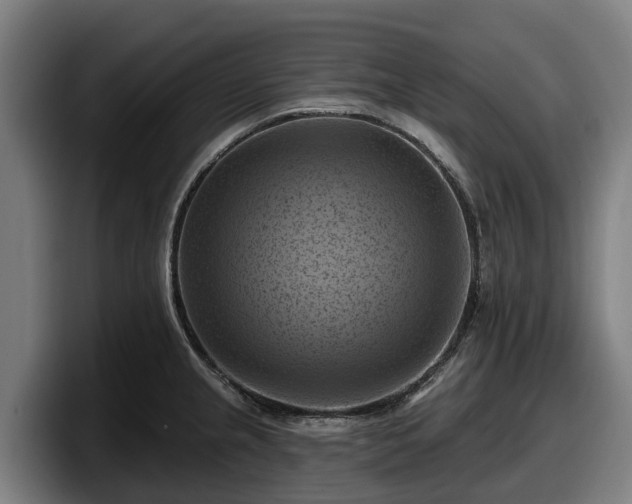 X0000097831237200803201451