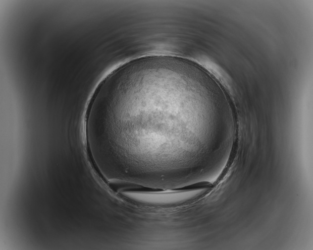 X0000097831238200803201451