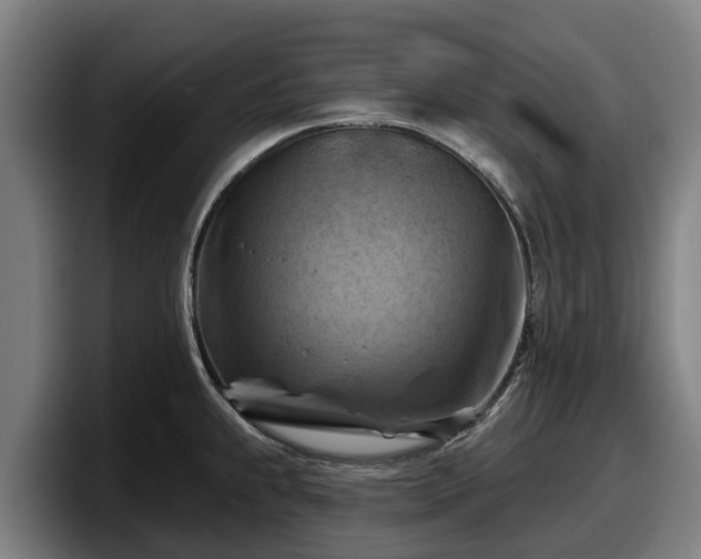 X0000097831239200803201451