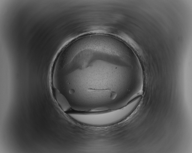 X0000097831240200803201451