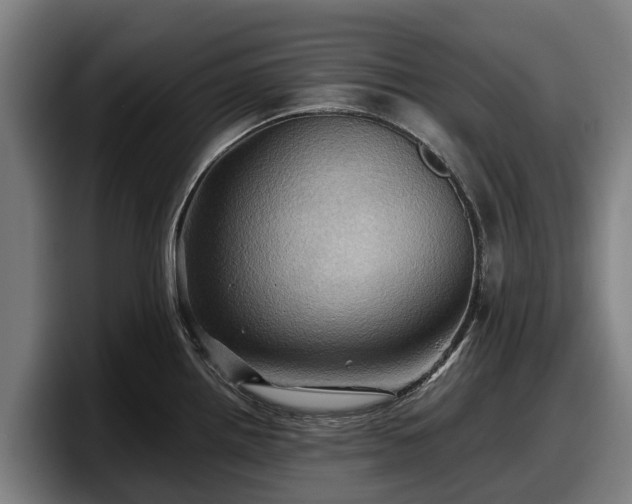 X0000097831242200803201451