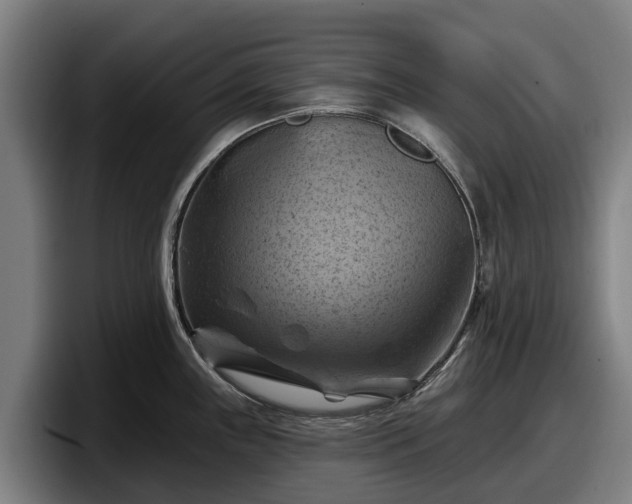X0000097831243200803201451