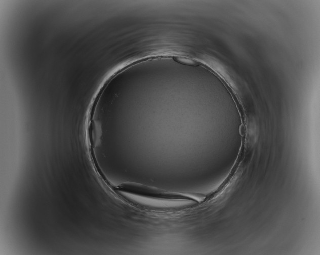 X0000097831246200803201451