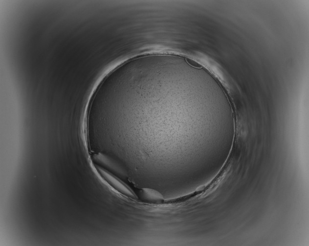 X0000097831247200803201451