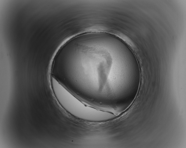 X0000097831248200803201451