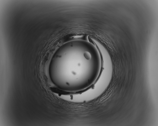 X0000097831249200803201451