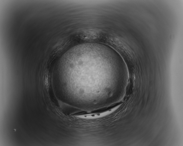 X0000097831250200803201451