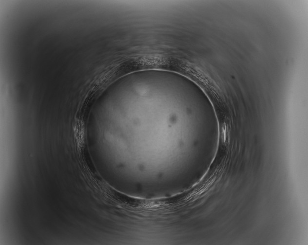 X0000097831251200803201451