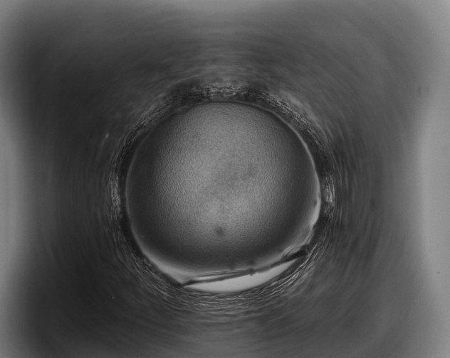 X0000097831252200803201451