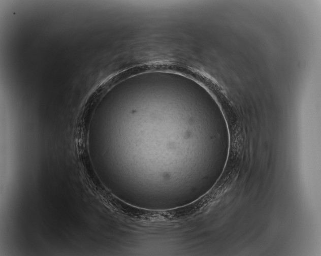 X0000097831255200803201451